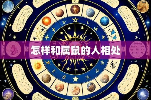 怎样和属鼠的人相处
