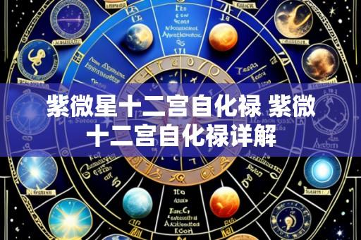 紫微星十二宫自化禄 紫微十二宫自化禄详解