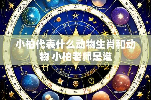 小柏代表什么动物生肖和动物 小柏老师是谁