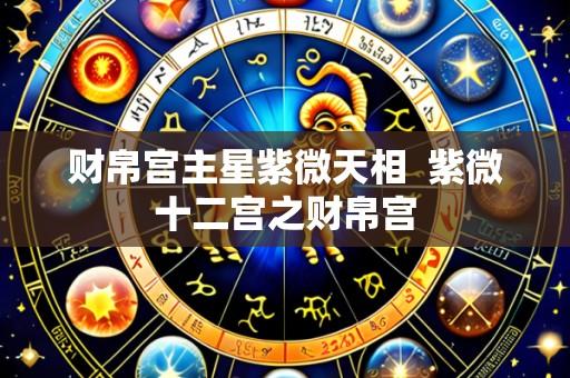 财帛宫主星紫微天相 紫微十二宫之财帛宫
