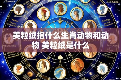 美粒绒指什么生肖动物和动物 美粒绒是什么