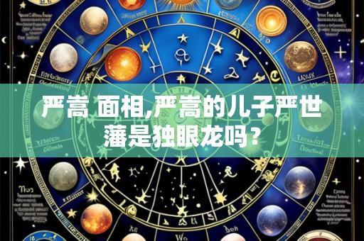 严嵩 面相,严嵩的儿子严世藩是独眼龙吗?