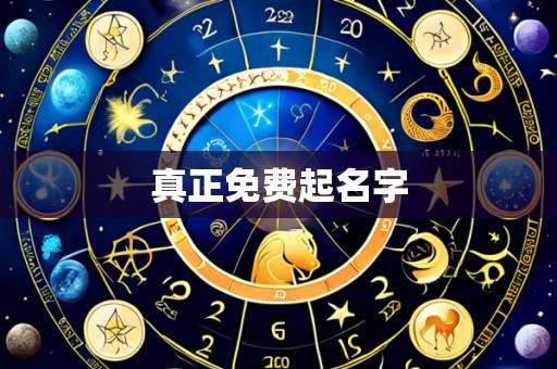 真正免费起名字