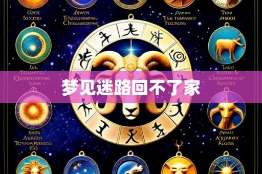 梦见迷路回不了家