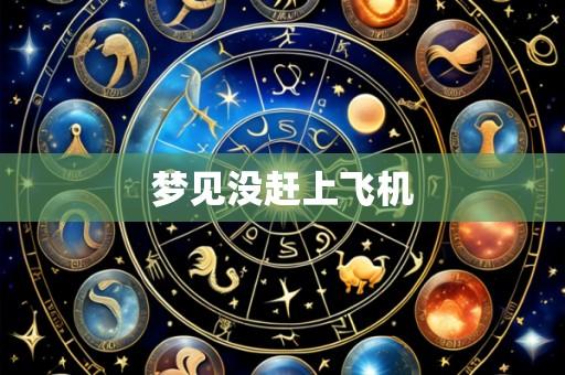梦见没赶上飞机