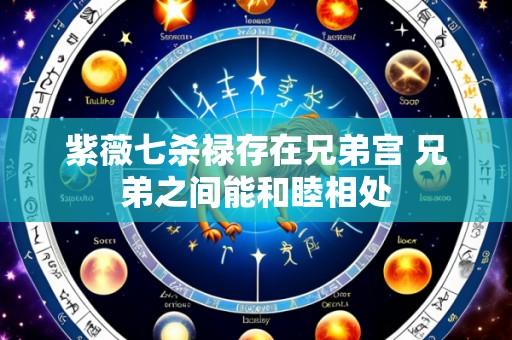 紫薇七杀禄存在兄弟宫 兄弟之间能和睦相处