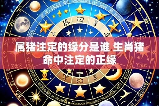 属猪注定的缘分是谁 生肖猪命中注定的正缘