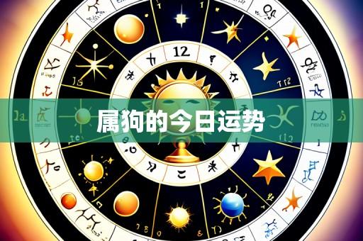 属狗的今日运势