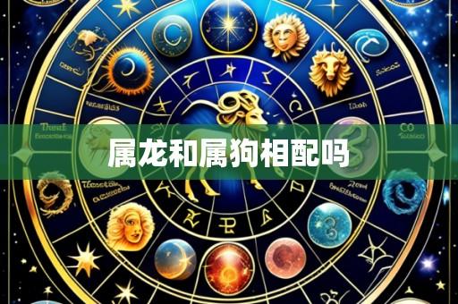 属龙和属狗相配吗