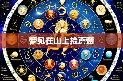 梦见在山上捡蘑菇