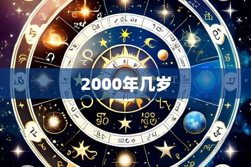 2000年几岁