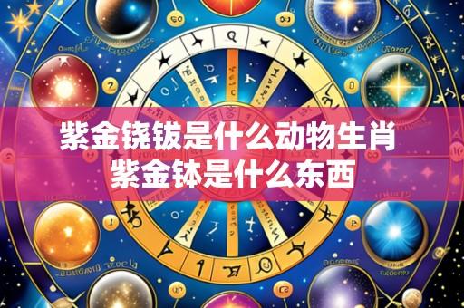 紫金铙钹是什么动物生肖 紫金钵是什么东西