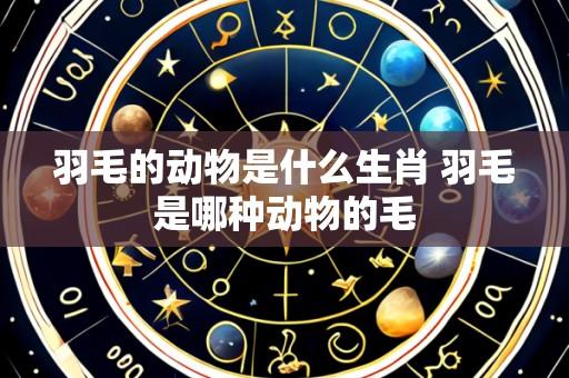 羽毛的动物是什么生肖 羽毛是哪种动物的毛