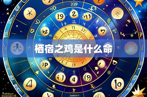 栖宿之鸡是什么命