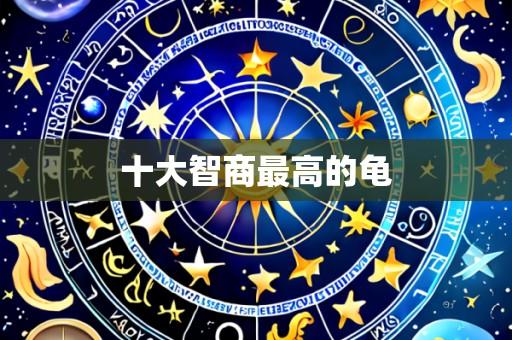 十大智商最高的龟