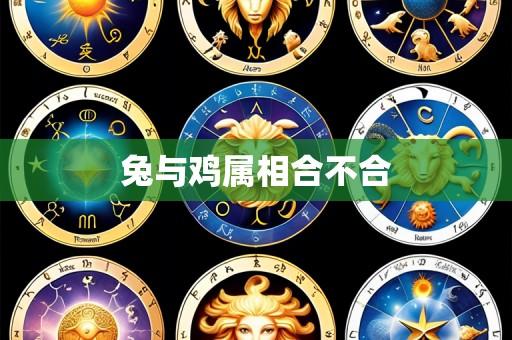 兔与鸡属相合不合