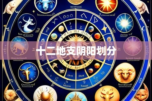 十二地支阴阳划分