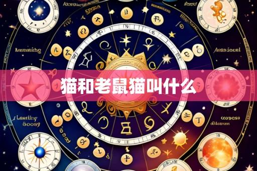 猫和老鼠猫叫什么