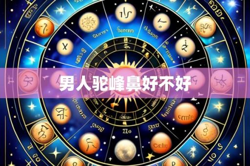 男人驼峰鼻好不好