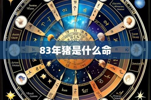 83年猪是什么命