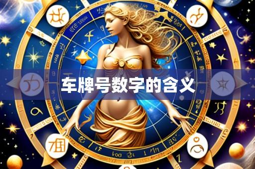 车牌号数字的含义