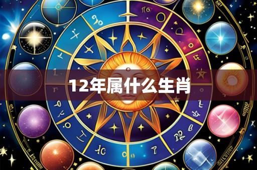 12年属什么生肖
