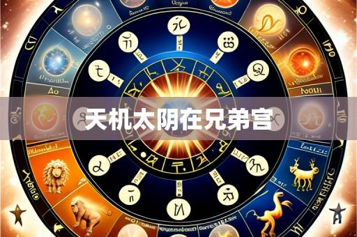 天机太阴在兄弟宫