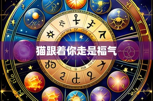 猫跟着你走是福气