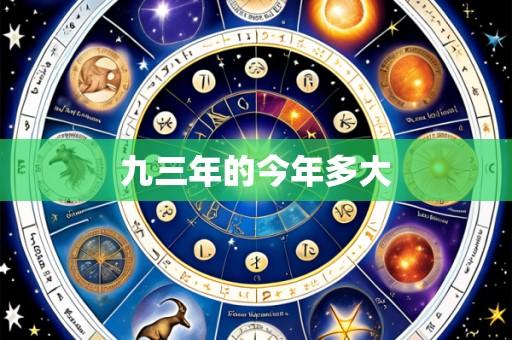 九三年的今年多大