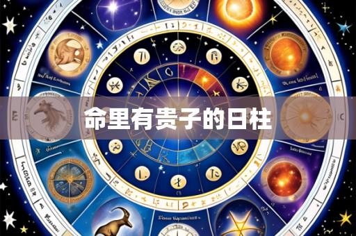 命里有贵子的日柱