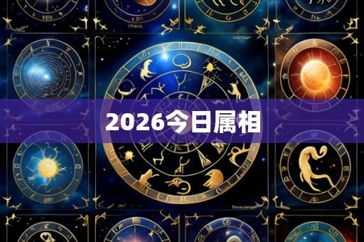 2026今日属相