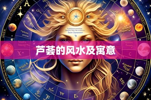 芦荟的风水及寓意