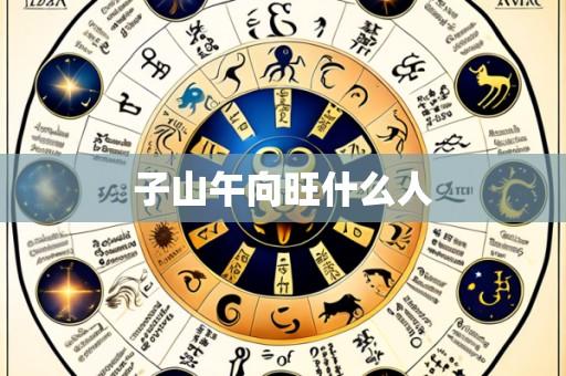 子山午向旺什么人
