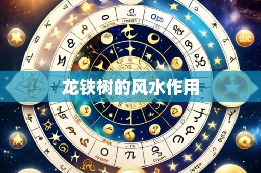 龙铁树的风水作用