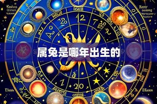 属兔是哪年出生的