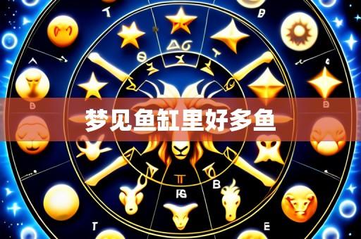 梦见鱼缸里好多鱼