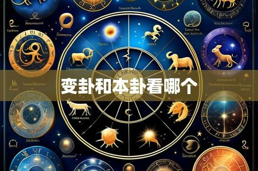 变卦和本卦看哪个