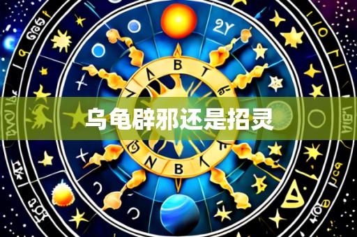 乌龟辟邪还是招灵