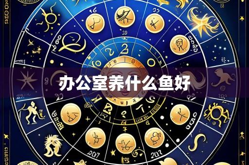 办公室养什么鱼好