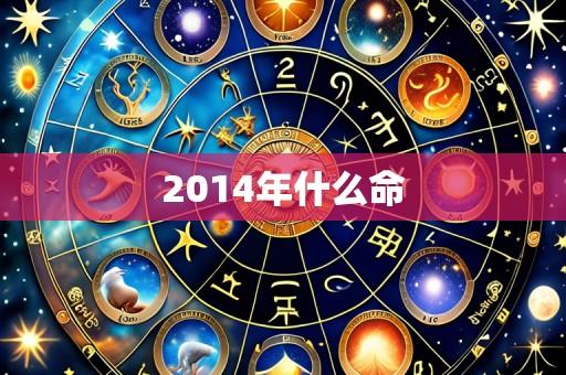 2014年什么命