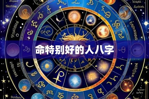 命特别好的人八字