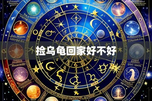 捡乌龟回家好不好