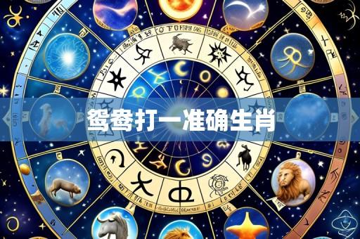 鸳鸯打一准确生肖