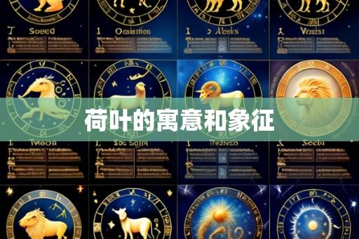 荷叶的寓意和象征