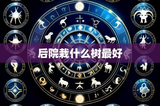 后院栽什么树最好