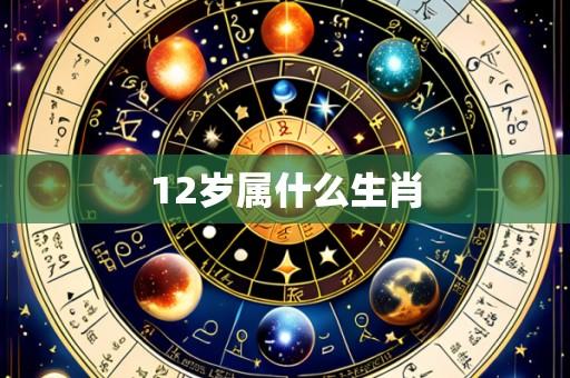 12岁属什么生肖