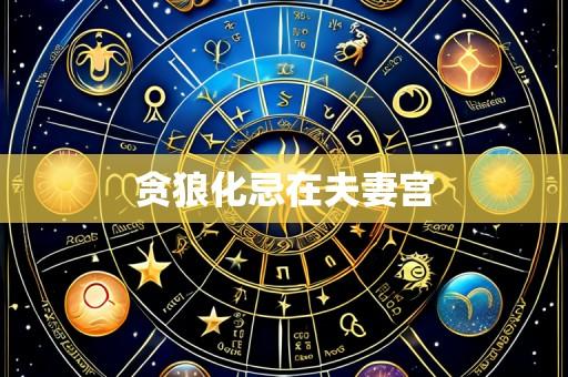 贪狼化忌在夫妻宫