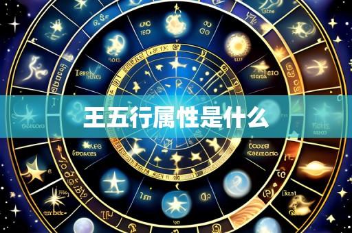 王五行属性是什么