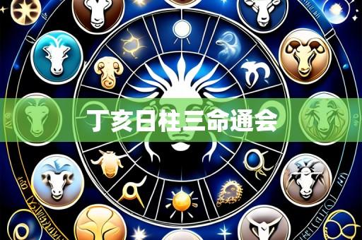 丁亥日柱三命通会