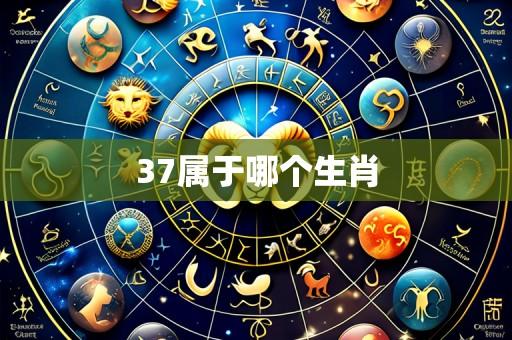 37属于哪个生肖